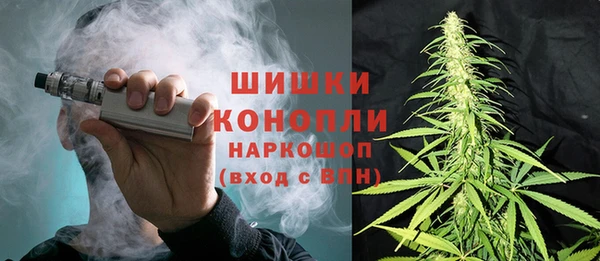ПСИЛОЦИБИНОВЫЕ ГРИБЫ Данков