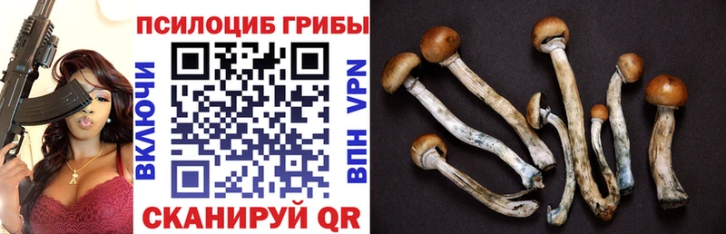 Псилоцибиновые грибы мухоморы даркнет Telegram Бабаево